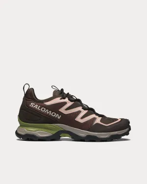 Shelter Chocolate Fondant / Delicioso / Peach Beige Low Top Sneakers