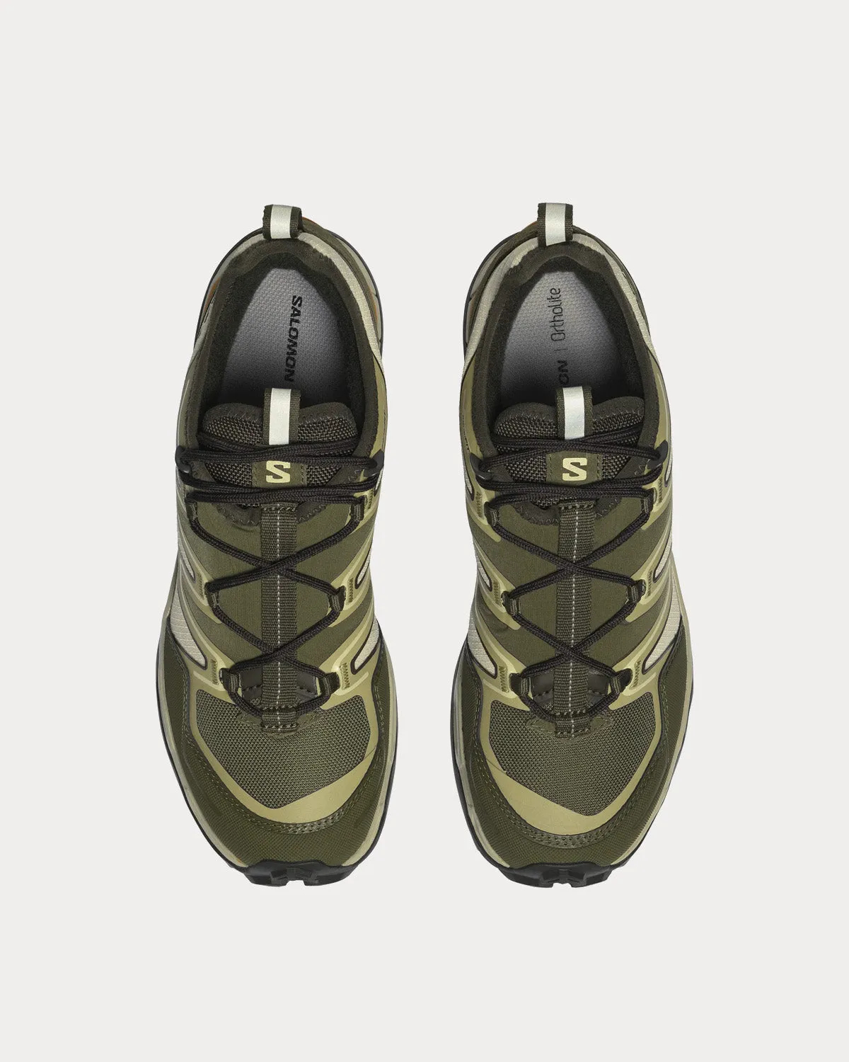 Shelter Turtledove / Olive Night / Golden Oak Low Top Sneakers